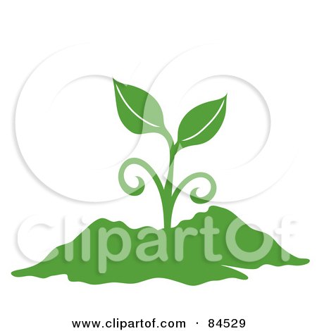 Royalty-Free (RF) Clipart Illustration of a Green Sprouting Plant In Soil by Pams Clipart
