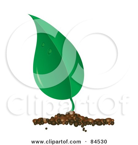 Royalty-Free (RF) Clipart Illustration of a Dewy Green Leaf Sprouting From Soil by Pams Clipart