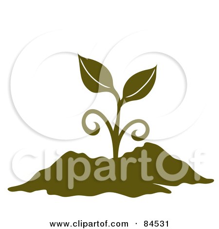 Royalty-Free (RF) Clipart Illustration of an Olive Green Sprouting Plant In Soil by Pams Clipart