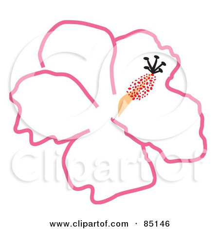 Royalty-Free (RF) Clipart Illustration of an Outlined Pink Hibiscus Flower by Arena Creative