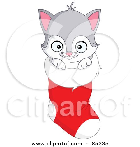 Royalty-Free (RF) Clipart Illustration of a Gray And White Kitten Inside A Christmas Stocking by yayayoyo