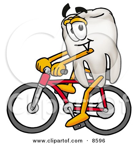 Clipart Picture of a Tooth Mascot Cartoon Character Riding a Bicycle by Mascot Junction
