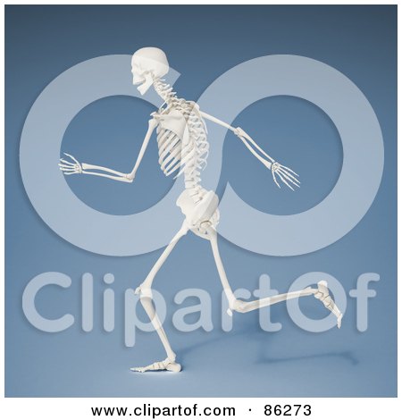 Royalty-Free (RF) Clipart Illustration of a Running 3d Human Skeleton by Mopic
