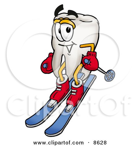 Clipart Picture of a Tooth Mascot Cartoon Character Skiing Downhill by Mascot Junction