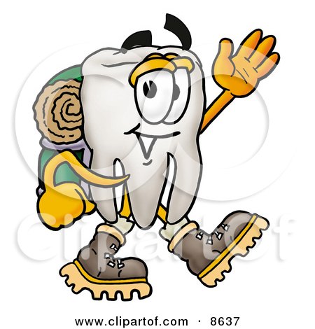 Clipart Picture of a Tooth Mascot Cartoon Character Hiking and Carrying a Backpack by Mascot Junction