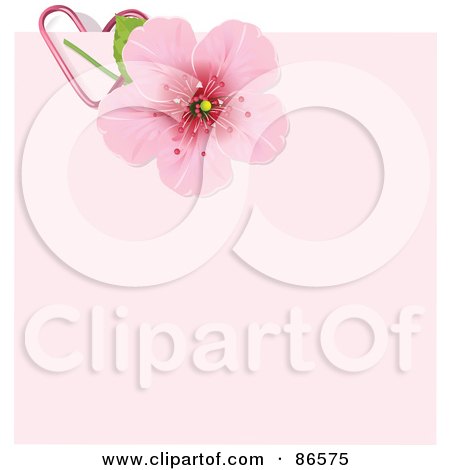 Royalty-Free (RF) Clipart Illustration of a Cherry Blossom Paperclipped To A Pink Memo by Pushkin