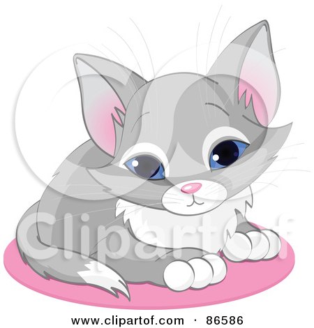 Royalty-Free (RF) Clipart Illustration of a Cute Blue Eyed Gray Kitten Sitting On A Pink Rug by Pushkin