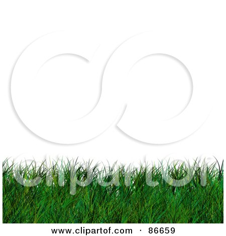 Royalty-Free (RF) Clipart Illustration of a Lower Border Of Grass Over White by Arena Creative