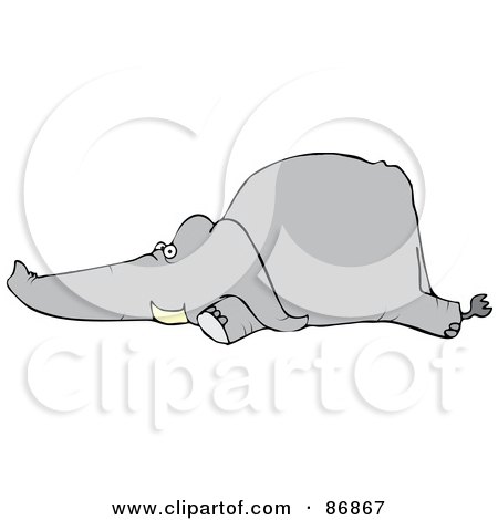 Royalty-Free (RF) Clipart Illustration of a Grey Elephant Laying Flat On Its Belly by djart