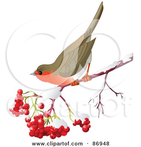 Royalty-Free (RF) Clipart Illustration of a Robin On A Branch Of Ash Berries And Snow by Pushkin