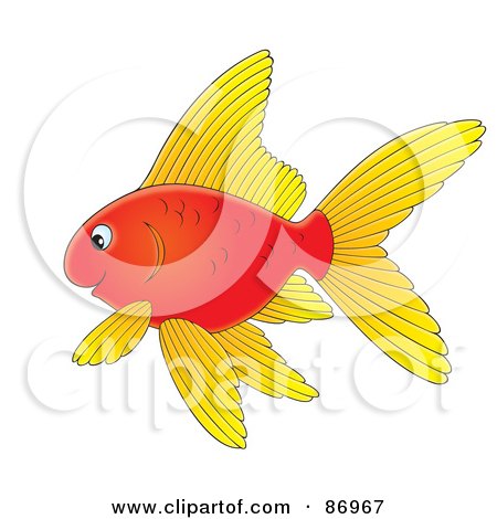 Royalty-Free (RF) Clipart Illustration of a Red Goldfish With Yellow Fins by Alex Bannykh