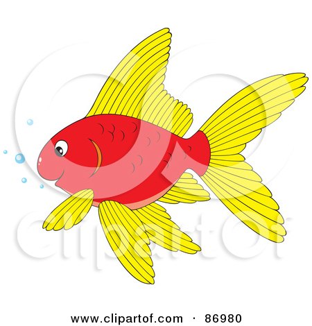 Royalty-Free (RF) Clipart Illustration of a Red And Yellow Goldfish With Bubbles by Alex Bannykh