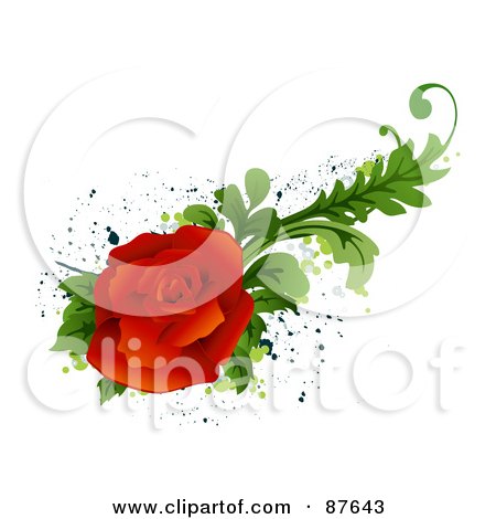Royalty-Free (RF) Clipart Illustration of a Bloomed Red Rose With Green Foliage Over Splatters by BNP Design Studio