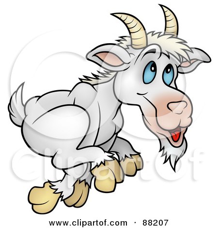 Royalty-Free (RF) Clipart Illustration of a Running White Goat by dero