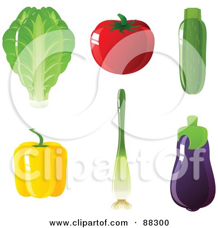 Royalty-Free (RF) Clipart Illustration of a Digital Collage Of Romaine Lettuce, A Tomato, Zucchini, Yellow Bell Pepper, Green Onion And Purple Eggplant by Tonis Pan