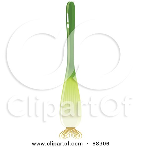 Royalty-Free (RF) Clipart Illustration of a Shiny Green Scallion Stalk by Tonis Pan