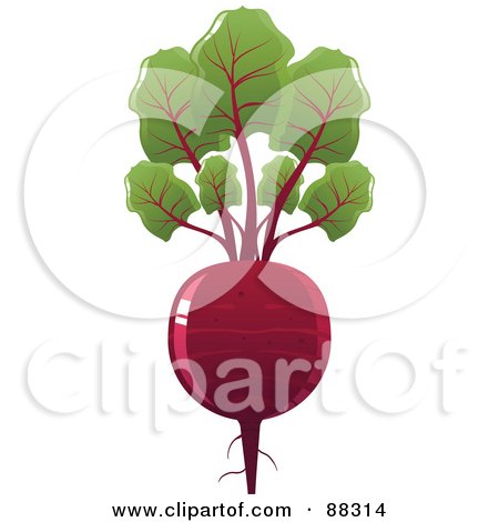Royalty-Free (RF) Clipart Illustration of a Shiny Red Beet With Leaves by Tonis Pan