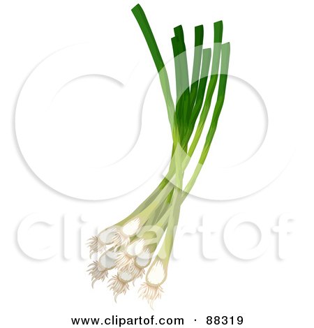 Royalty-Free (RF) Clipart Illustration of a Bunch Of Green Scallion Onions by Tonis Pan