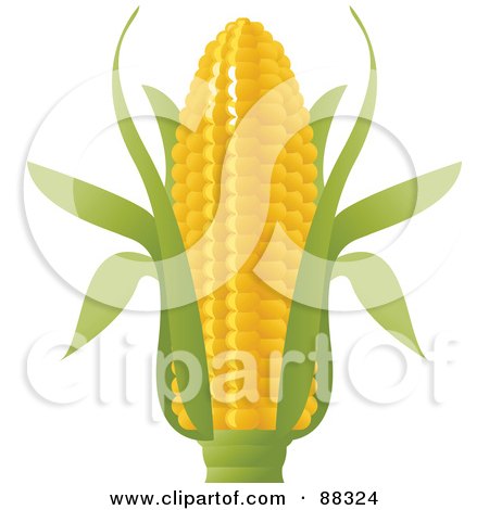 Royalty-Free (RF) Clipart Illustration of a Shiny Ear Of Corn by Tonis Pan