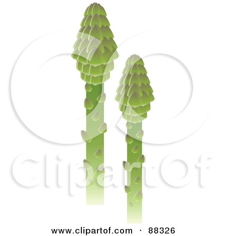 Royalty-Free (RF) Clipart Illustration of Two Green Asparagus Stalks by Tonis Pan