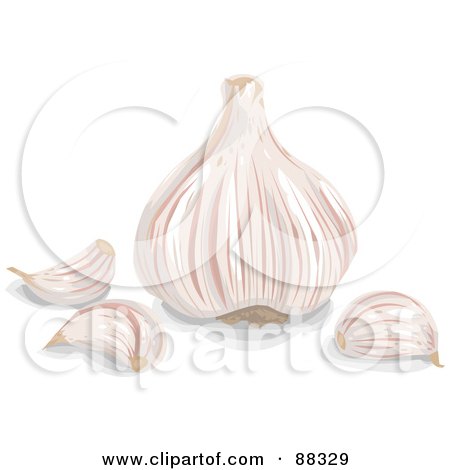 Royalty-Free (RF) Clipart Illustration of a Pink Garlic Head And Pieces Of Cloves by Tonis Pan