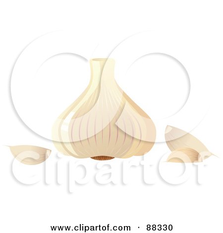 Royalty-Free (RF) Clipart Illustration of a Shiny Green White Garlic Bulb And Cloves by Tonis Pan