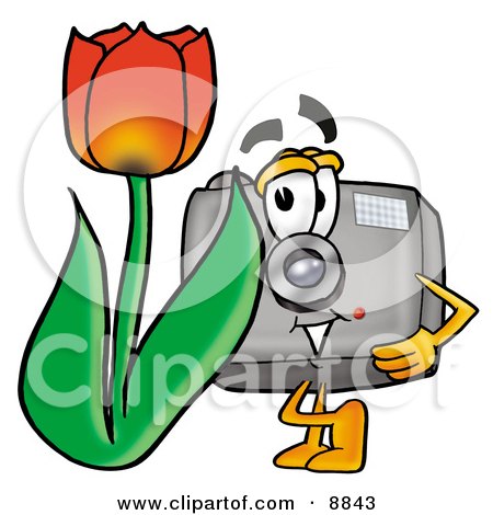 Clipart Picture of a Camera Mascot Cartoon Character With a Red Tulip Flower in the Spring by Mascot Junction