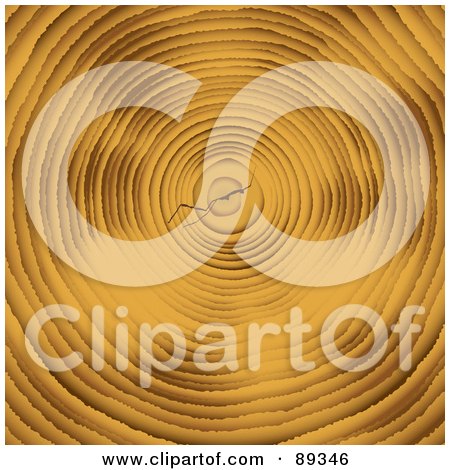 Royalty-Free (RF) Clipart Illustration of a Wood Cross Section Of A Tree by michaeltravers