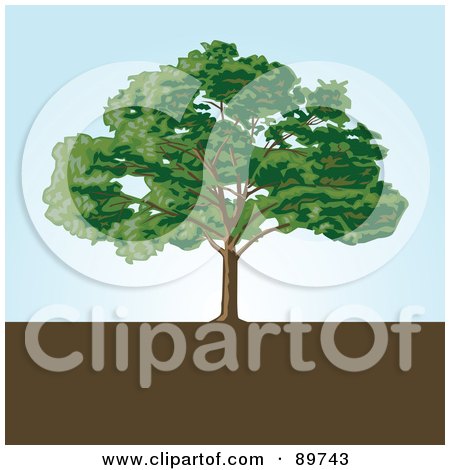 Royalty-Free (RF) Clipart Illustration of a Mature Tree On Brown Earth Against A Blue Sky by BestVector