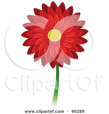 Royalty-Free (RF) Clipart Illustration of a Beautiful Red Gerbera Daisy Flower by Tonis Pan