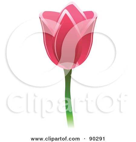 Royalty-Free (RF) Clipart Illustration of a Beautiful Pink Spring Tulip Flower by Tonis Pan