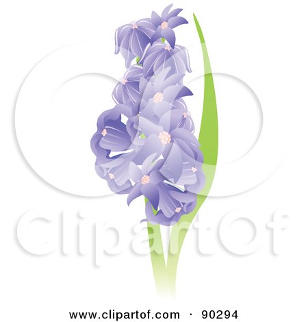 Royalty-Free (RF) Clipart Illustration of a Beautiful Purple Hyacinth Flowers by Tonis Pan