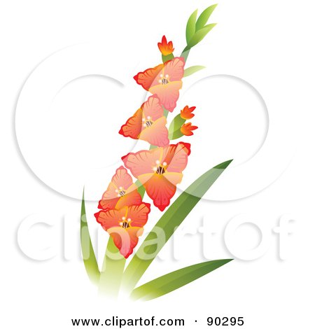 Royalty-Free (RF) Clipart Illustration of a Beautiful Stem Of Gladiola Flowers by Tonis Pan