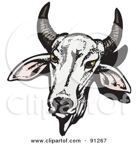 Royalty-Free (RF) Clipart Illustration of a White Horned Brahman Cow Head by Dennis Holmes Designs