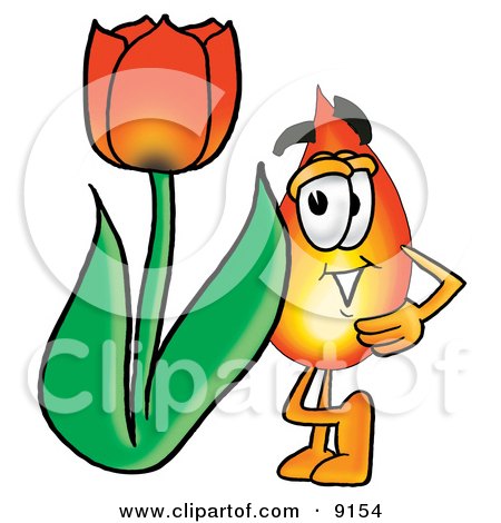 Clipart Picture of a Flame Mascot Cartoon Character With a Red Tulip Flower in the Spring by Mascot Junction