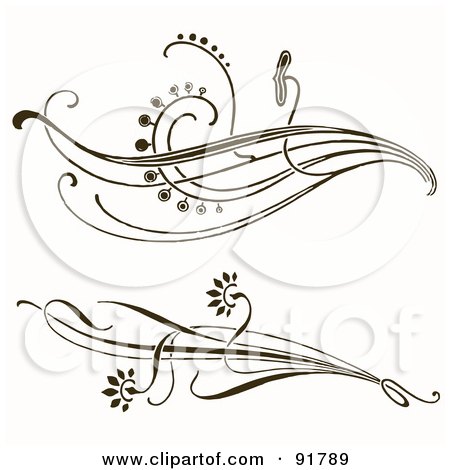 Royalty-Free (RF) Clipart Illustration of a Digital Collage Of Two Floral Divider Elements On White by BestVector