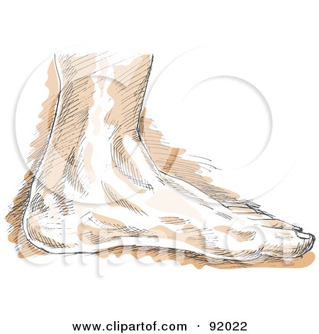 Royalty-Free (RF) Clipart Illustration of a Sketched Left Human Foot by patrimonio