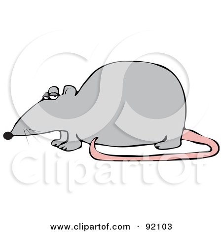 Royalty-Free (RF) Clipart Illustration of a Gray Rat With A Pink Tail In Profile by djart
