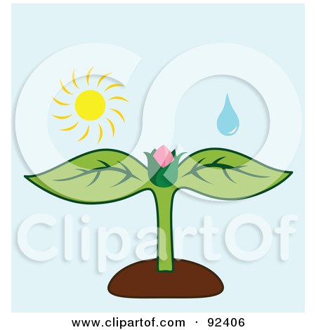 Royalty-Free (RF) Clipart Illustration of a Water Drop And Sun Over A Flower Bud On A Plant by Cherie Reve