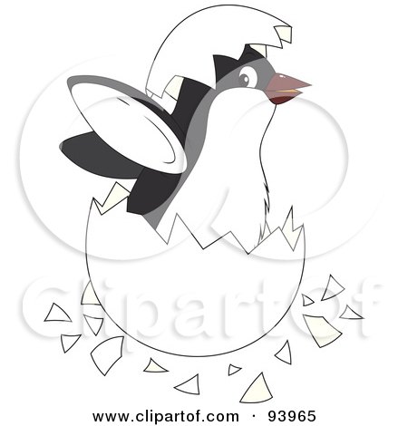 Royalty-Free (RF) Clipart Illustration of a Cute Penguin Chick Hatching From An Egg by Alex Bannykh