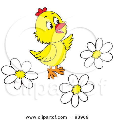 Royalty-Free (RF) Clipart Illustration of a Cute Yellow Chick With White Daisy Flowers by Alex Bannykh
