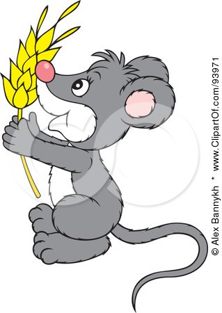 Royalty-Free (RF) Clipart Illustration of a Cute Gray And White Mouse Holding Wheat by Alex Bannykh