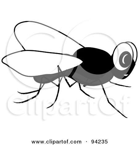 Royalty-Free (RF) Clipart Illustration of a Black And White Pesky House Fly by Pams Clipart