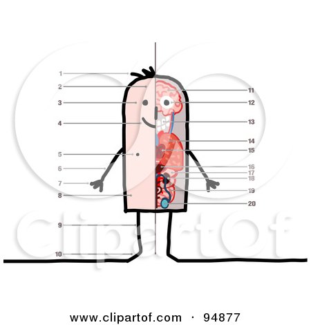 Royalty-Free (RF) Clipart Illustration of a Stick People Anatomy Chart Of A Man by NL shop