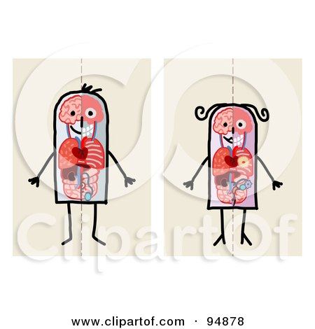 Royalty-Free (RF) Clipart Illustration of a Digital Collage Of A Stick People Man And Woman Anatomy Views by NL shop