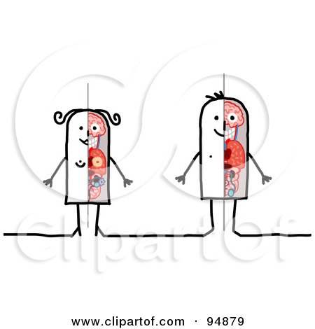 Royalty-Free (RF) Clipart Illustration of a Stick People Woman And Man With Organs by NL shop