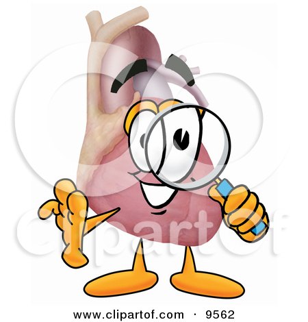 Clipart Picture of a Heart Organ Mascot Cartoon Character Looking Through a Magnifying Glass by Mascot Junction
