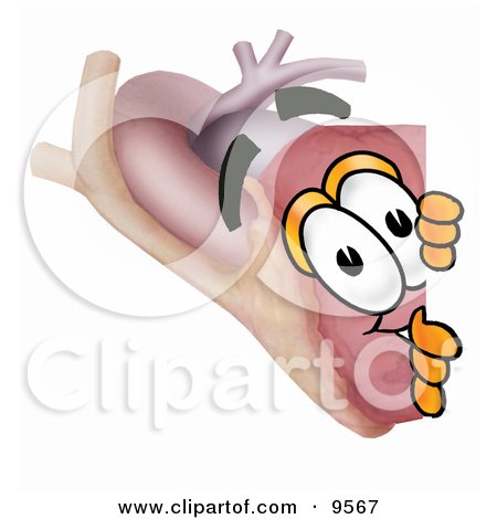 Clipart Picture of a Heart Organ Mascot Cartoon Character Peeking Around a Corner by Mascot Junction