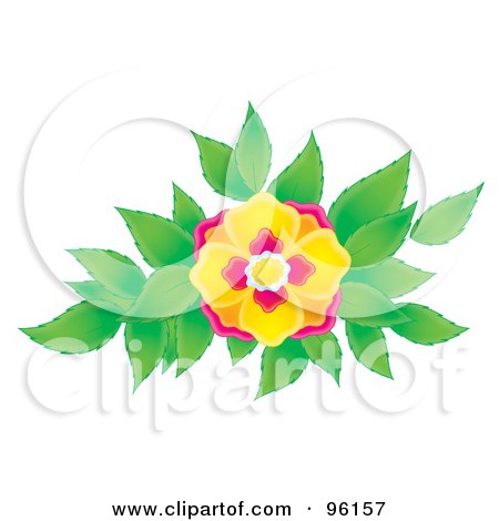 Royalty-Free (RF) Clipart Illustration of a Pretty Airbrushed Pink And Yellow Flower Blooming Over Green Leaves by Alex Bannykh