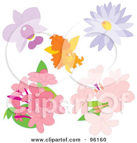 Royalty-Free (RF) Clipart Illustration of a Digital Collage Of Beautiful Orchid, Lotus And Phlox Flowers by Alex Bannykh